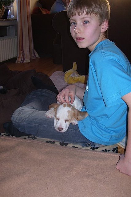 Welpe Abigail mit ihrem Freund